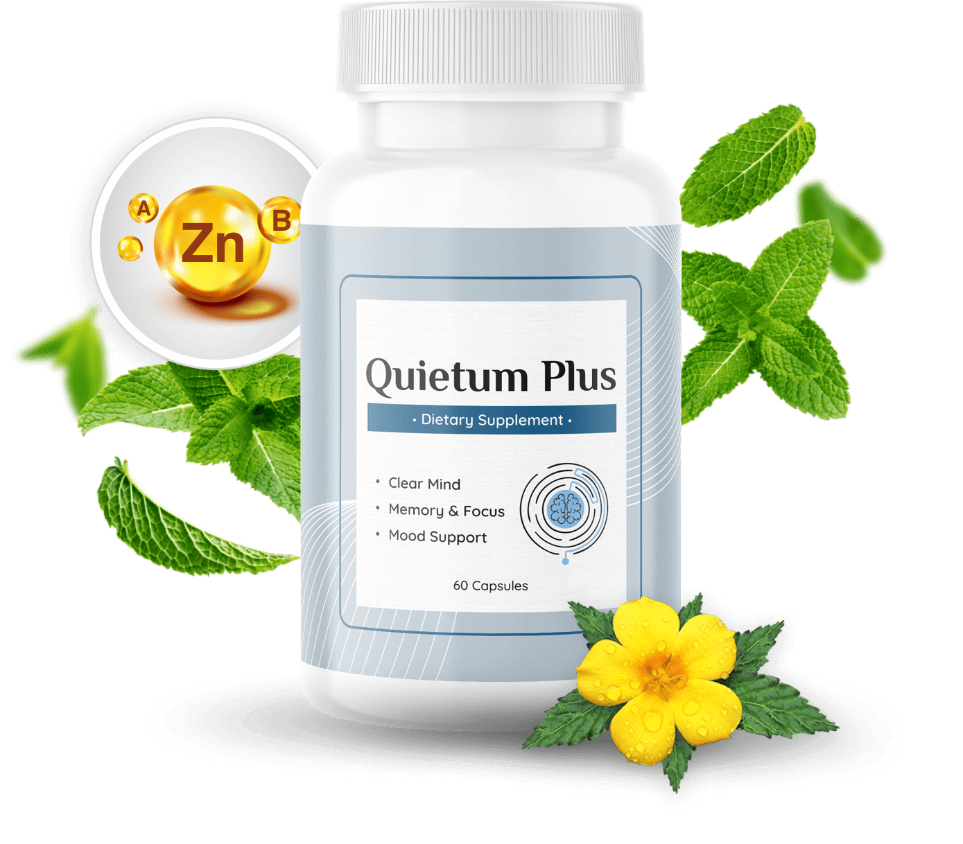 Quietum Plus supplement bottle for tinnitus relief